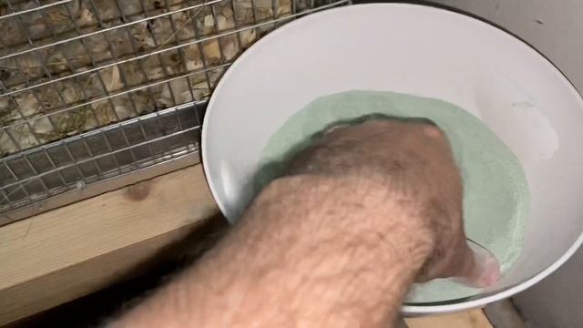 КАКОЙ ПЕСОК НУЖЕН ДЛЯ КУПАНИЯ ШИНШИЛЛ || ФЕРМА МЕХОВЫХ ШИНШИЛЛ смотреть онлайн