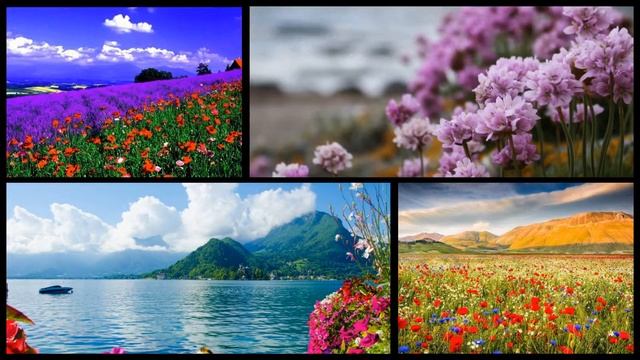 МОО "ЕДИНСТВО". Часть 4. Аудиокомпозиция "Очищение" смотреть онлайн