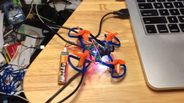 Arming Disable Flags