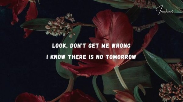 All I Ask - Adele (Lyrics)