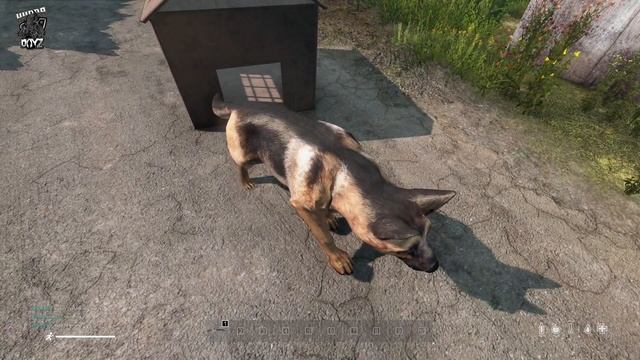 Hydra project DayZ Dog mod смотреть онлайн