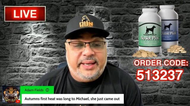 Why In Breeding 2 + 2 = 5 | American Bully XL смотреть онлайн