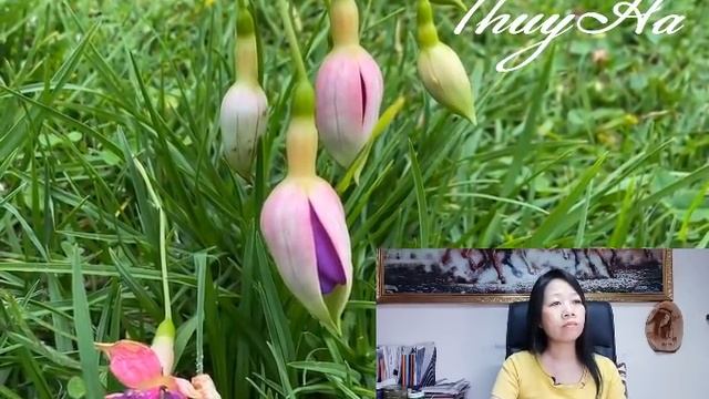 Tập 1 - CÔ VỢ CÂM CỦA TRÙM MAFIA - Ngôn Tình Hắc Bang смотреть онлайн