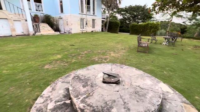 Грибной Ретрит в Поместье 1760 Года Выпуска. #целитель #ретрит #грибы #обучение #матвейстепанов