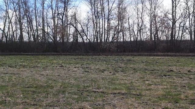 Подготовка поля к посеву кукурузы. смотреть онлайн