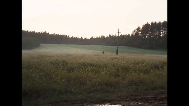 TARKOVSKY - MIRROR'S NATURE (ПРИРОДА ЗЕРКАЛА) смотреть онлайн