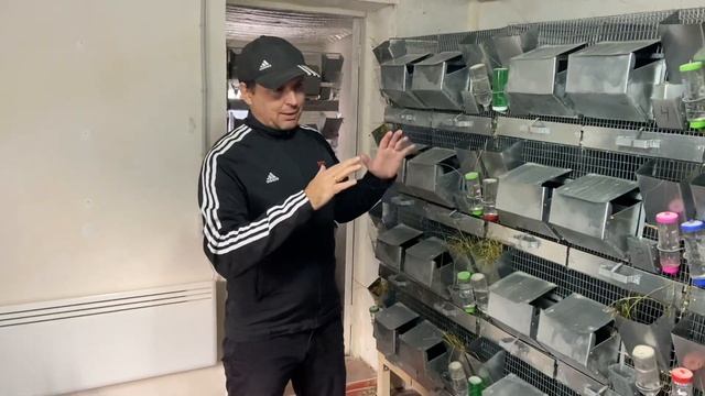 КАК Я ВЫБИРАЛ НИШУ ДЛЯ БИЗНЕСА | ШИНШИЛЛОВАЯ ФЕРМА | ФЕРМА ШИНШИЛЛ | смотреть онлайн