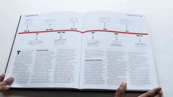 The Crime Book: Big Ideas Simply Explained