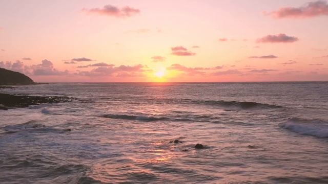 Сердце и ум