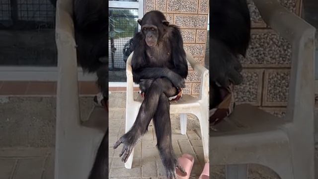 вот он этот мужчина