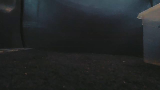 Конфликты- это абсолютно нормально. Переживаю конфликт на работе. смотреть онлайн