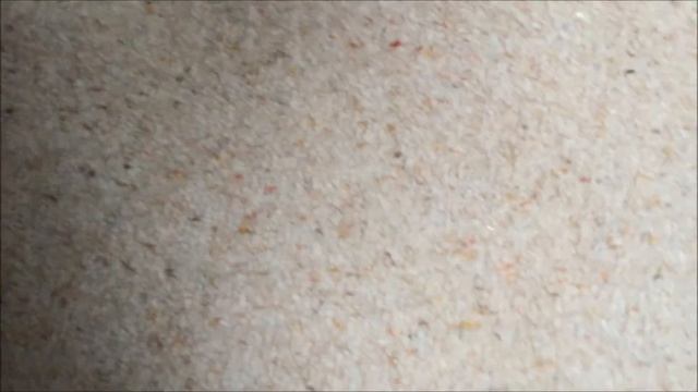 Unboxing Of: Meng Achzarit Late W/Interior Ss-008