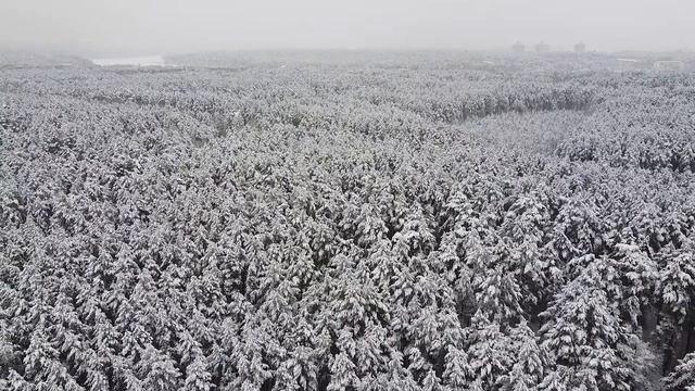 Портал 12.12.