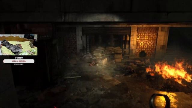 СУХАРЕВСКАЯ И ХАН С КОТОМ! ► Metro 2033 Redux Прохождение № 3 смотреть онлайн
