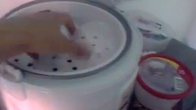 Экскурсия по дому на Кхо Пханган. смотреть онлайн