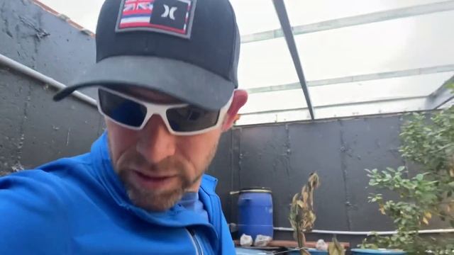 Disaster In my Walipini - I Haven't been inside my Greenhouse for 6 WEEKS смотреть онлайн