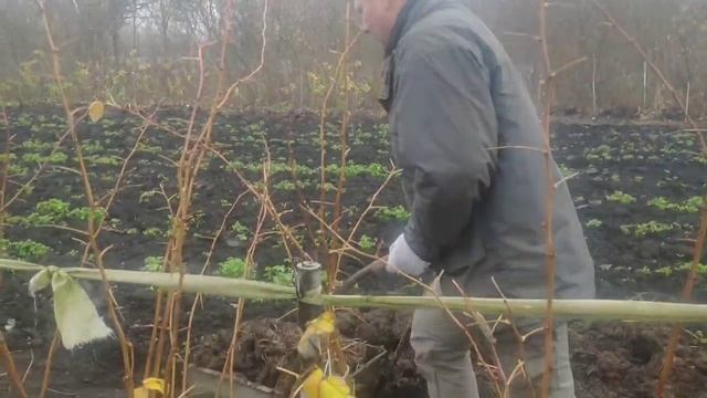 Секреты тренировок IPSC. loft fitness ipsc смотреть онлайн