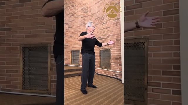 Jon Kabat-Zinn on Mindfulness for Long COVID - SYR 2023 Insights смотреть онлайн
