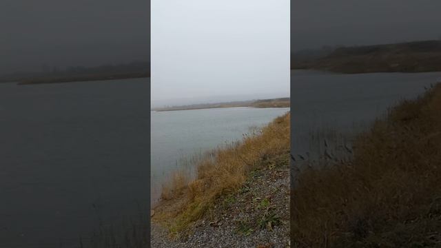 Первый снег 2024 #природа #красотаприроды #снег #первыйснег #первыйснег2024 смотреть онлайн