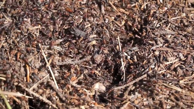 real spring смотреть онлайн