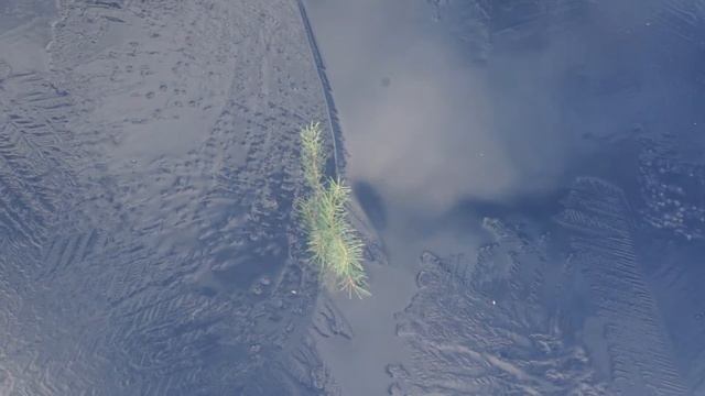 morning смотреть онлайн