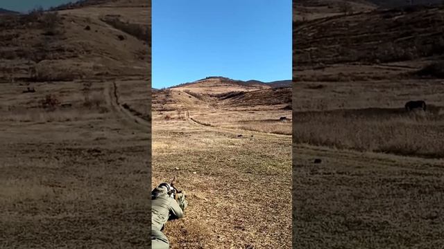 АКМ 7.62x39 на дистанции 850 метров смотреть онлайн