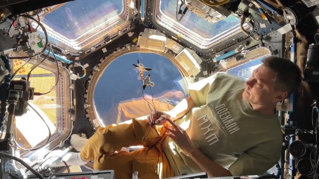 Олег Кононенко с МХАТовскими чайками на МКС. смотреть онлайн