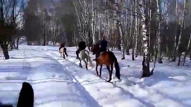 Конные прогулки смотреть онлайн