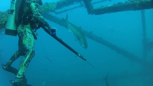 Spearfishing Louisiana Oil Rigs Helldivers Rodeo 2015 смотреть онлайн