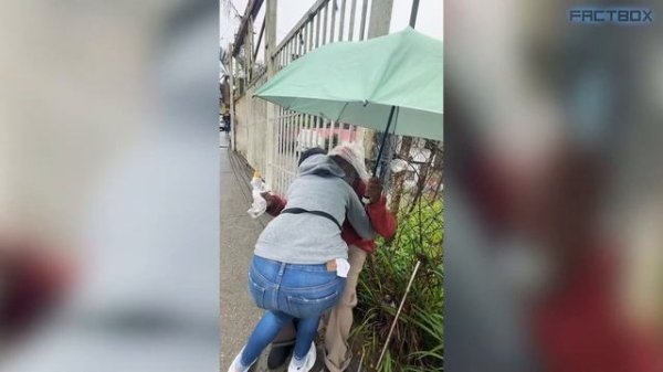 Попробуй НЕ ЗАПЛАКАТЬ! Топ 50 Самых Трогательных Моментов, Снятых на Камеру ч.20