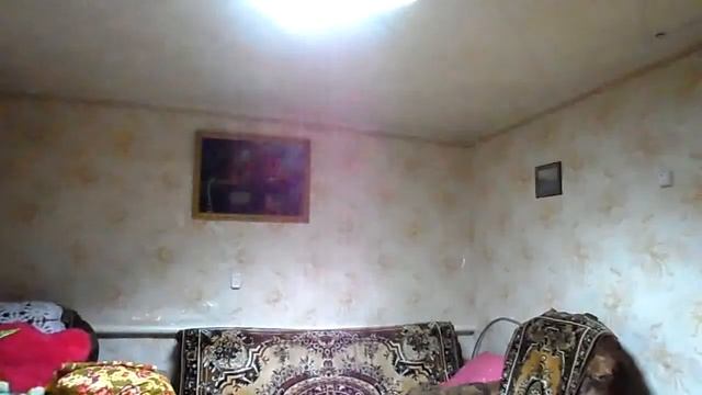 SAM 5310 смотреть онлайн