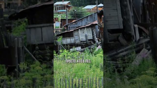 Все очень устали от «ШАНХАЯ»?! #стройнавека #строительство #коттеджныйпоселок