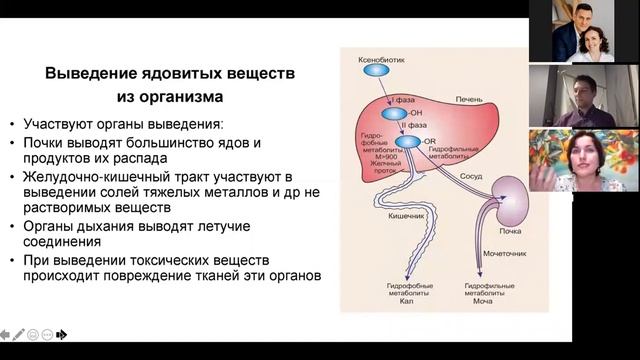 Фальсификация эфирных масел - взгляд врача и химика. смотреть онлайн