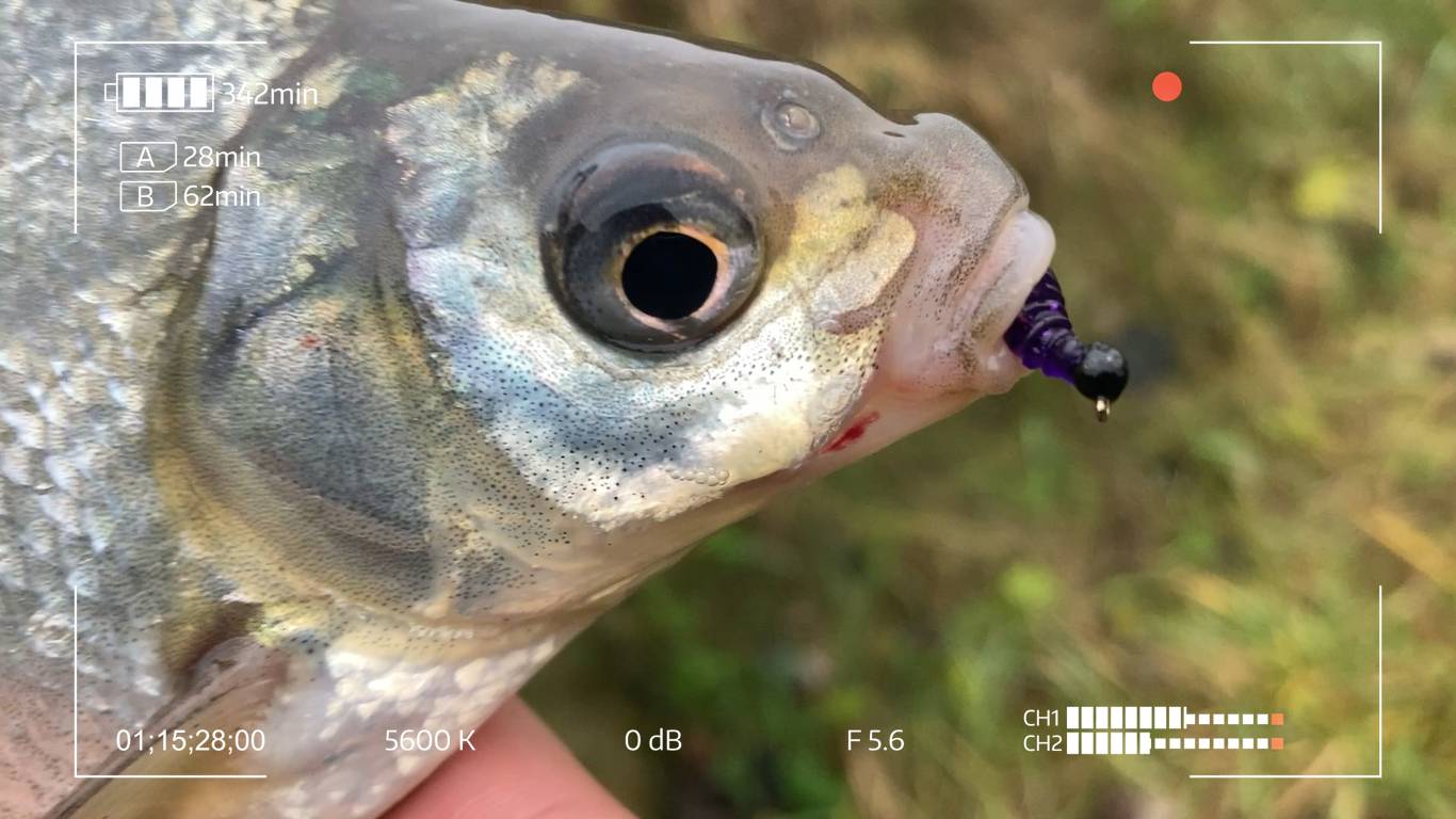 Дешёвый китаец ломает стереотипы о спиннингах смотреть онлайн