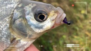 Дешёвый китаец ломает стереотипы о спиннингах