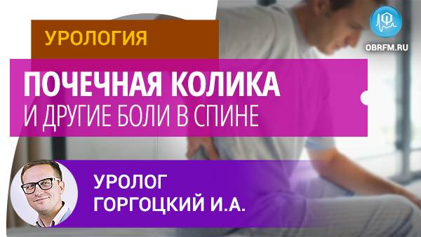 Уролог Горгоцкий И.А.: Почечная колика и другие боли в спине смотреть онлайн