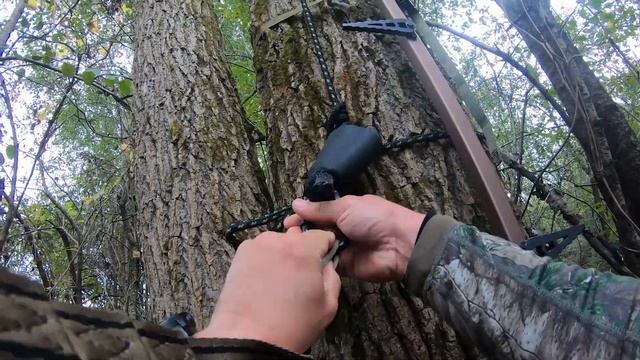 BIG BUCK DOWN! Hunter VS. Heat AND Fire Ants! Bowhunt or Die Season 10 Episode 35 смотреть онлайн
