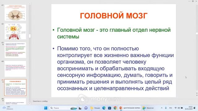Психофизиология, 7гр. смотреть онлайн