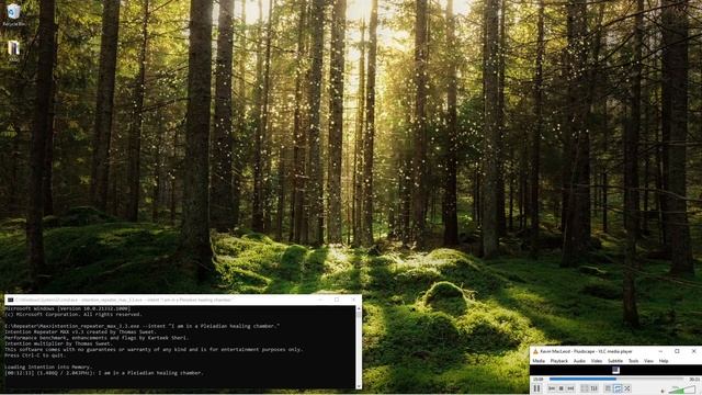 Pleiadian Healing Chamber смотреть онлайн