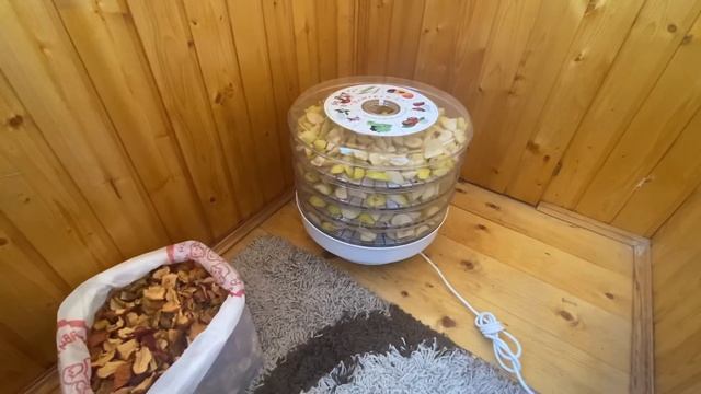 СУХОФРУКТЫ ДЛЯ ШИНШИЛЛ | ВИТАМИНЫ ДЛЯ ШИНШИЛЛ смотреть онлайн