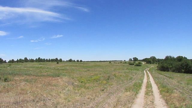 Исчезнувшая деревня Елшанка, Лысогорский район.