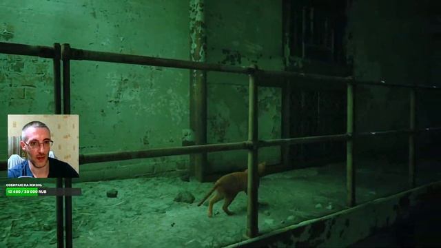 STRAY #3 ► МИДТАУН и ВОЗВРАЩЕНИЕ ДОМОЙ! смотреть онлайн