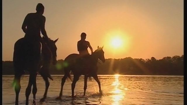 Братья Казаки смотреть онлайн