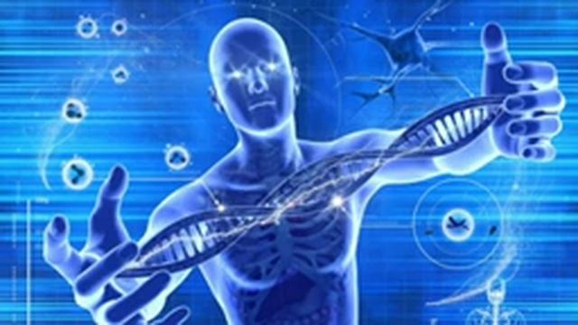 Медитация "Сонастройка Физиологических функций" смотреть онлайн