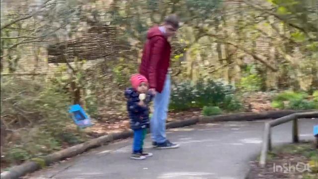 A Family visit to the Chester Zoo Uk #zoo #animals #uk #family #familyvlog #youtube смотреть онлайн