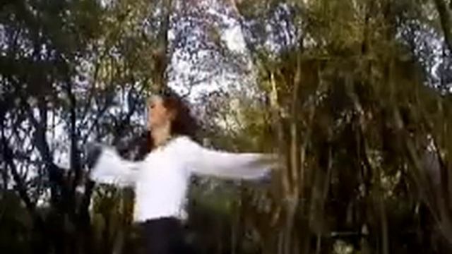 Whirling Meditation 1 смотреть онлайн