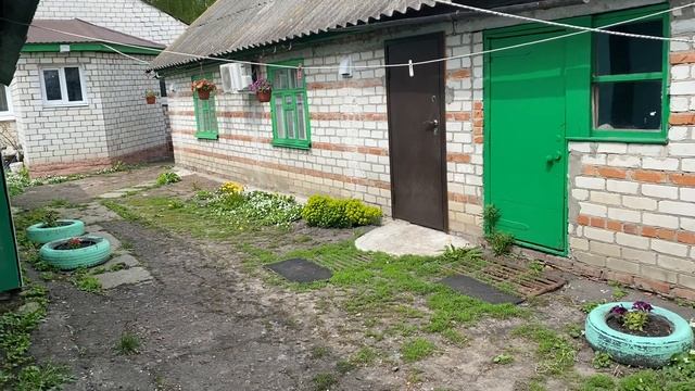 ТОП ВОПРОС ОТ НАЧИНАЮЩИХ ШИНШИЛЛОВОДОВ || Шиншилловодство || Шиншилловые фермы смотреть онлайн