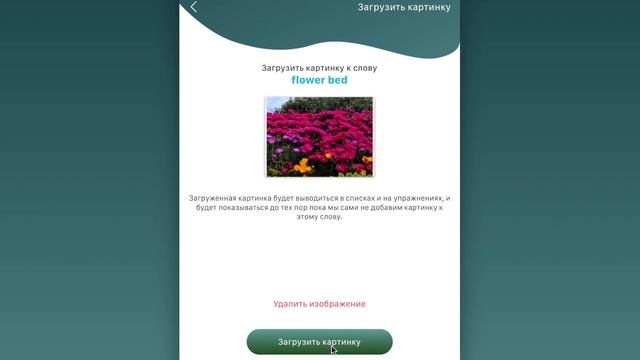 Как добавить картинку к английскому слову смотреть онлайн