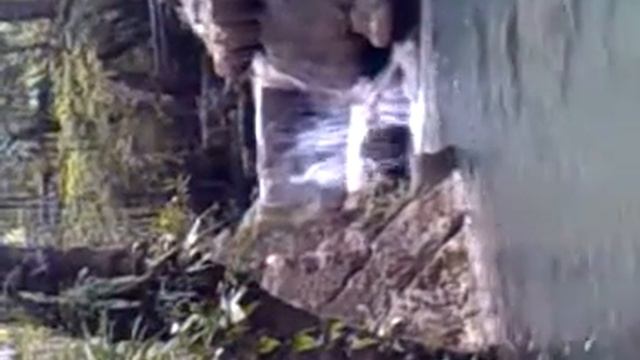 Denis and Masha at Erawan waterfall level 5 2nd смотреть онлайн