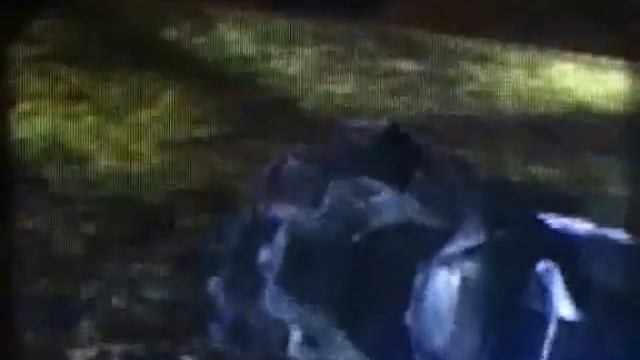 Halo 2:messing with elite смотреть онлайн
